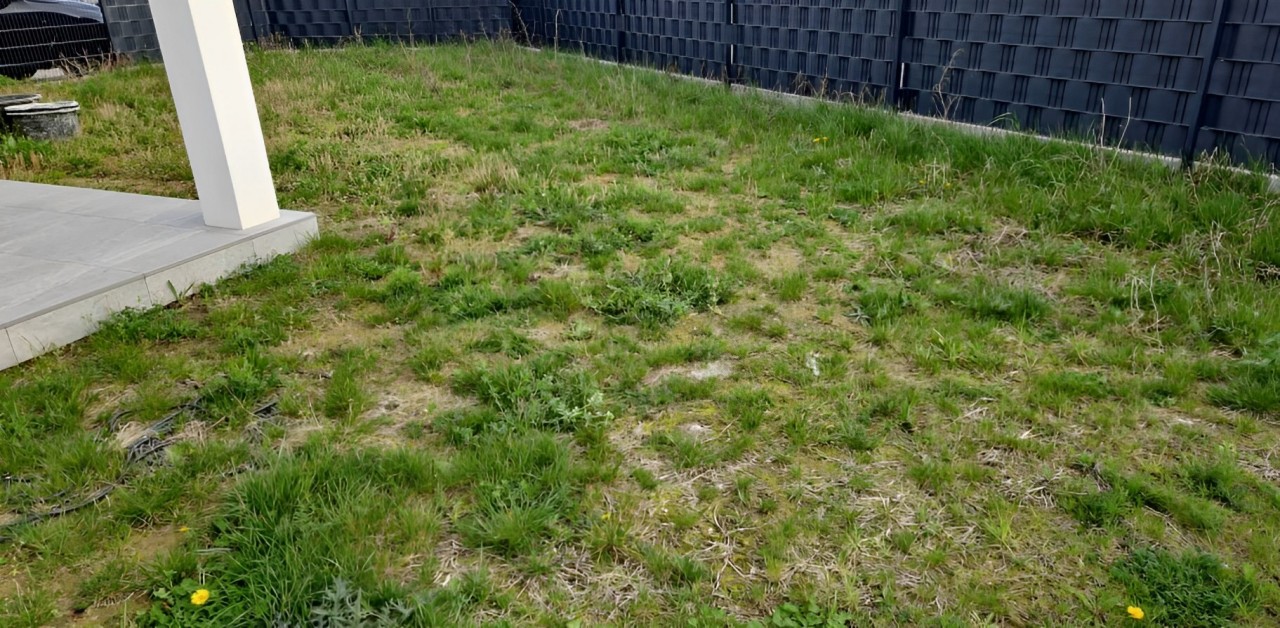 Image two
